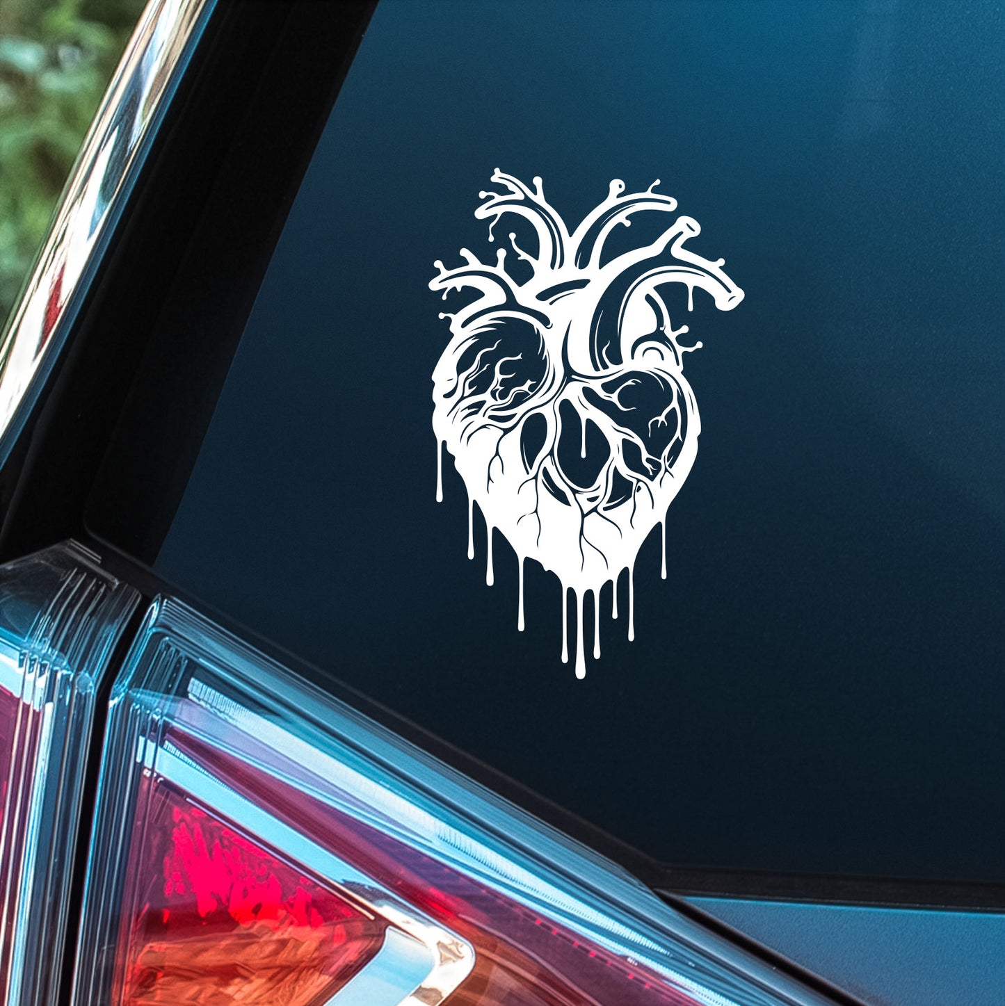 Bleeding Anatomical Heart - Premium Vinyl Decal