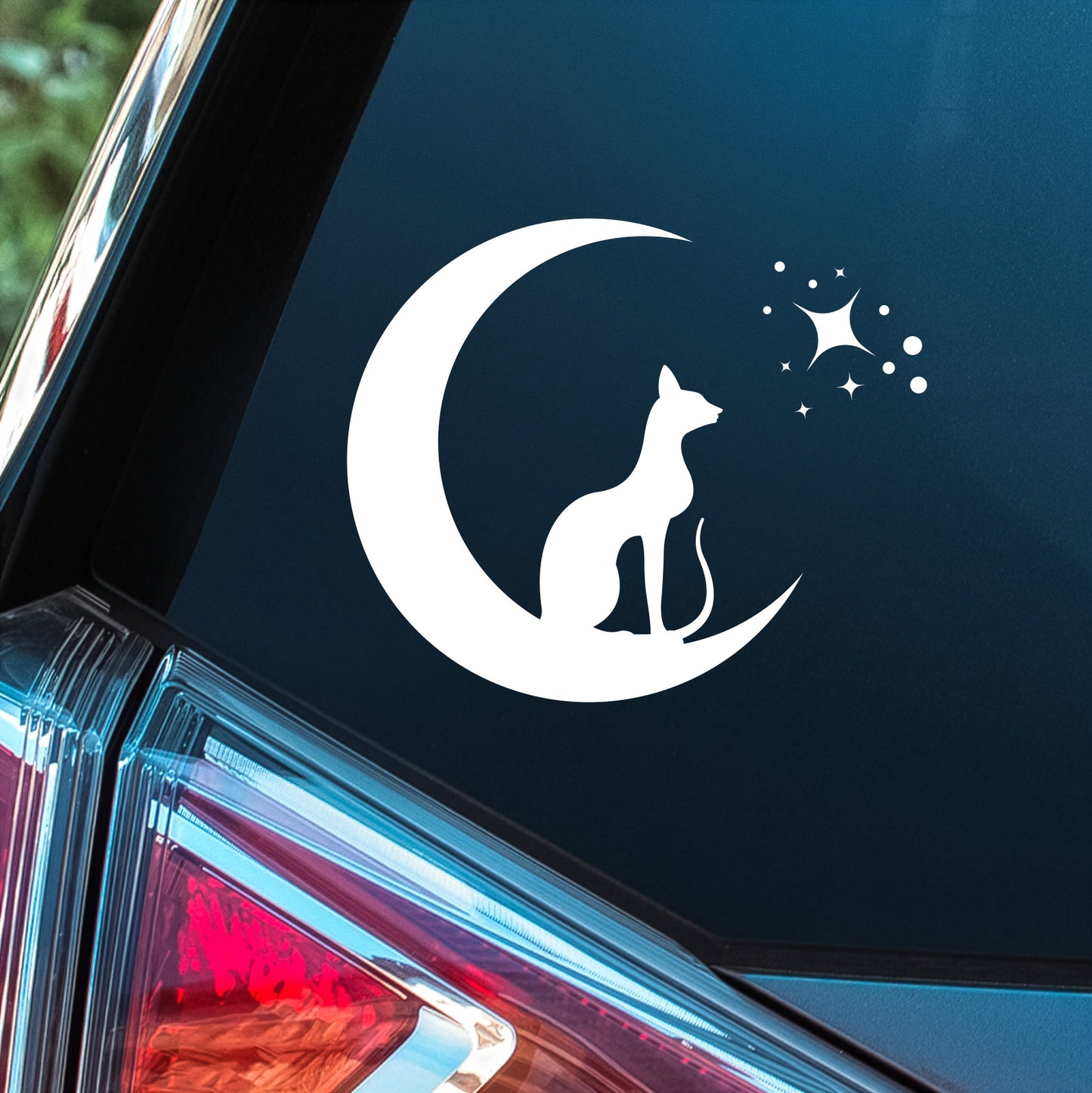 Cat Moon - Premium Vinyl Decal
